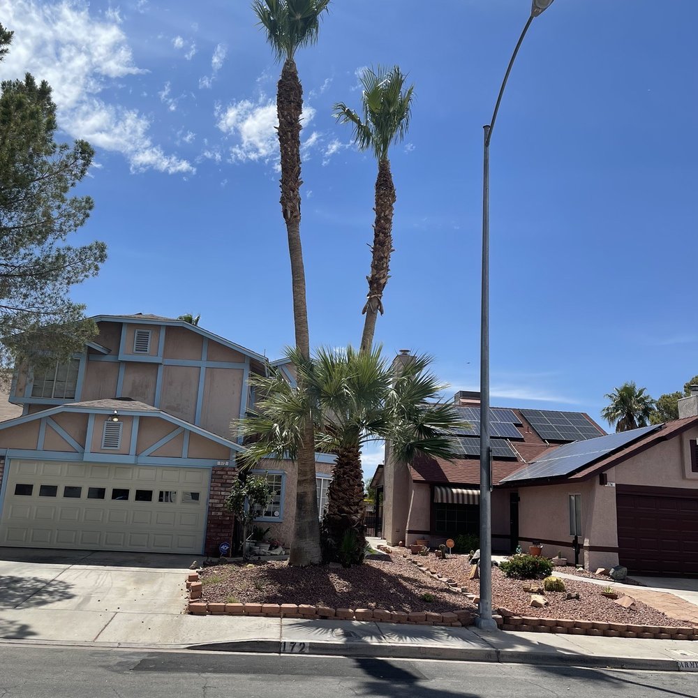 A Cut Above Tree Service - Tree Services Near Me - Las Vegas, Nevada A Cut Above Tree Service - Tree Services Near Me - Las Vegas, Nevada