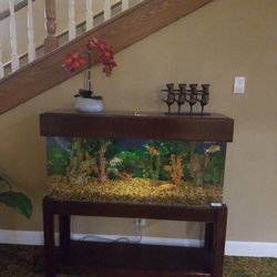 Brookdale Danville Diablo Road - Love their fish tank
