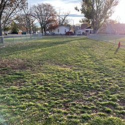 Fort Morgan Dog Park Fulton - Fully Fenced Park