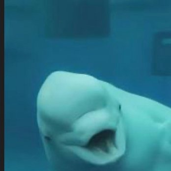 Universal Studios Florida - Me when ride got cancelled - Amusement Parks Near Me - Orlando, Florida Universal Studios Florida - Me when ride got cancelled - Amusement Parks Near Me - Orlando, Florida