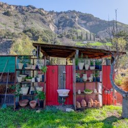 Australian Native Plants Nursery