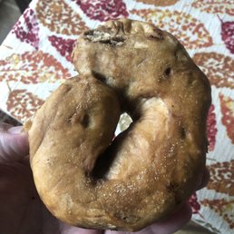 Abstract bagel interpretations are far more common than they once were in this shop. Abstract bagel interpretations are far more common than they once were in this shop.