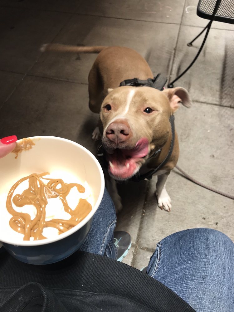 FROZATION NATION Updated May 2024 15 Photos & 35 Reviews 155 Liberty St NE, Salem, Oregon