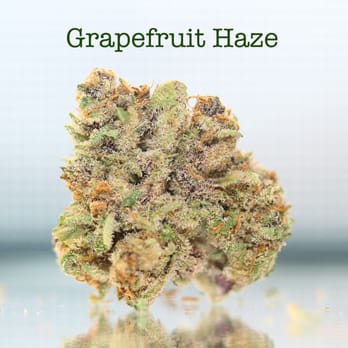 Westside Patients Group - Cannabis Dispensaries Near Me Westside Patients Group - Cannabis Dispensaries Near Me