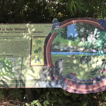 Hendy Woods State Park - Parks Near Me - Philo, California