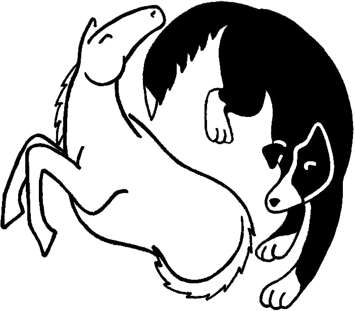 OAKLAND VET HOSPITAL Updated September 2024 204 NE 1st St, Oakland