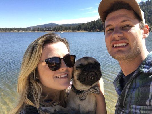 vca animal hospital big bear