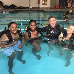 Gigglin' Marlin Dive & Swim