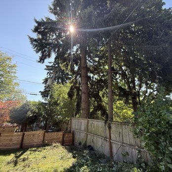 Integrity Tree Works - Tree Services Near Me - Newcastle, Washington Integrity Tree Works - Tree Services Near Me - Newcastle, Washington
