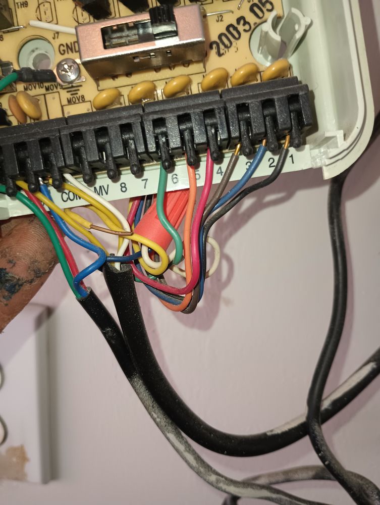 Slide of Rain Forrest irrigation