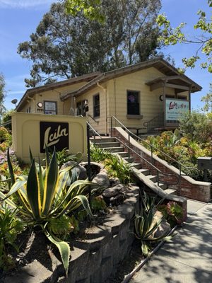 Leila by the Bay by null