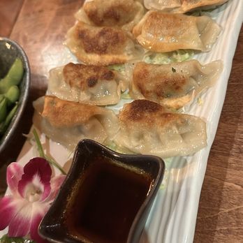 Nagomi Izakaya - Appetizers dumplings - Japanese Near Me - Boston, Massachusetts