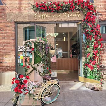 Coffee and Plants - Cute cafe - Coffee & Tea Near Me - Pasadena, California Coffee and Plants - Cute cafe - Coffee & Tea Near Me - Pasadena, California