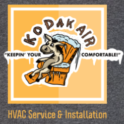 Kodak Air