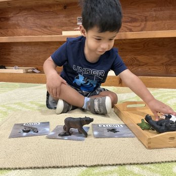 Mariner Montessori - Preschools Near Me - Houston, Texas Mariner Montessori - Preschools Near Me - Houston, Texas