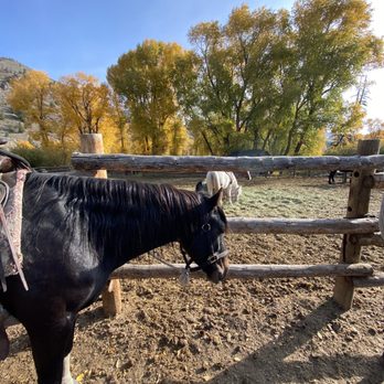 High Country Trails - Horseback Riding Near Me - Granby, Colorado High Country Trails - Horseback Riding Near Me - Granby, Colorado