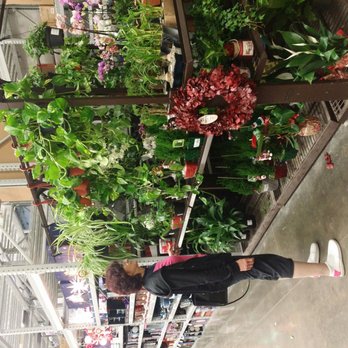 Lowe's Home Improvement - Hardware Stores Near Me - Tempe, Arizona