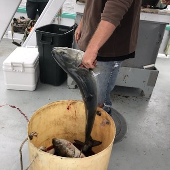 Atlantic Star - Some bigger blue fish - Fishing Near Me - Atlantic Highlands, New Jersey