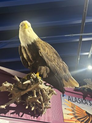 Alaska Museum of Science and Nature by null