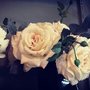 Main Beach Florist