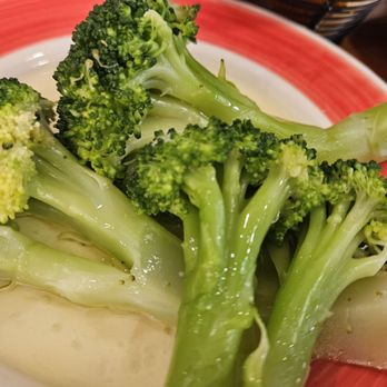 South Star Diner - Broccoli - Diners Near Me - Mount Holly, New Jersey South Star Diner - Broccoli - Diners Near Me - Mount Holly, New Jersey