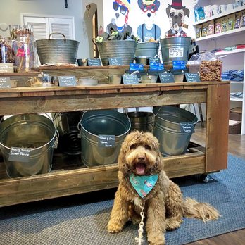 Carmel Dog Shop - Dog treats bar - Pet Stores Near Me - Carmel, California Carmel Dog Shop - Dog treats bar - Pet Stores Near Me - Carmel, California
