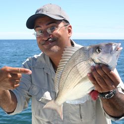 Grand Slam Charters - Montauk - June to October is Montauk PORGY TIME!!!