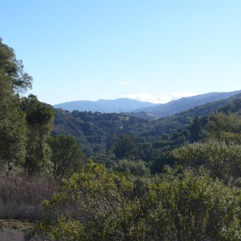 Picchetti Ranch Open Space Preserve - Looking down into Stevens Creek County Park - Parks Near Me - Cupertino, California Picchetti Ranch Open Space Preserve - Looking down into Stevens Creek County Park - Parks Near Me - Cupertino, California