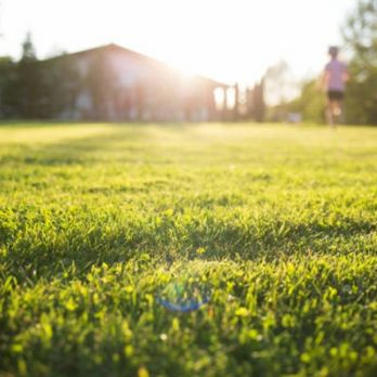 Lawn Pros - two people playing frisbee in a park - Gardeners Near Me - Oceanside, California Lawn Pros - two people playing frisbee in a park - Gardeners Near Me - Oceanside, California