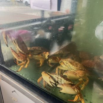 Santa Barbara Fish Market - Crabs - Seafood Markets Near Me - Santa Barbara, California