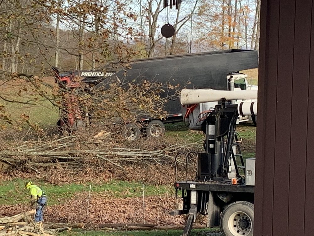 PAUL BUNYAN 494 Harvest Dr, Rockwood, Pennsylvania Tree Services