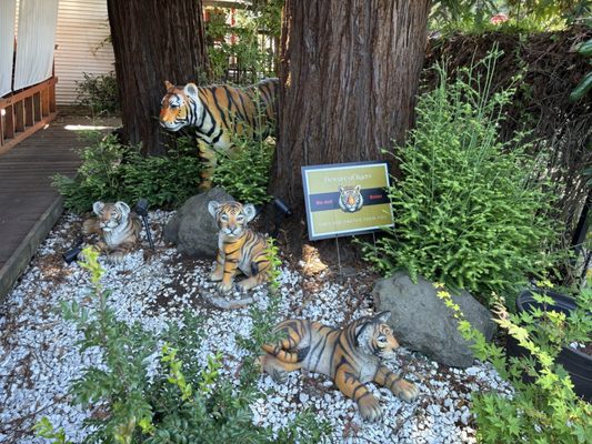 Tiger Mama by null Tiger Mama by null