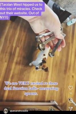 Tarzian West for Housewares by null