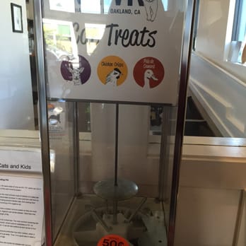 Cat Town - No cat treats when I was there - Animal Shelters Near Me - Oakland, California