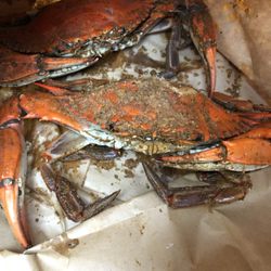 Captain Trey's Crabs & Seafood - First Crabs of Summer, Hon