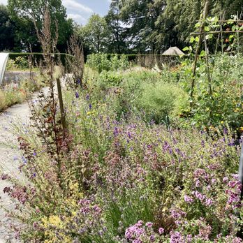 Hidcote Manor Garden - Parks Near Me