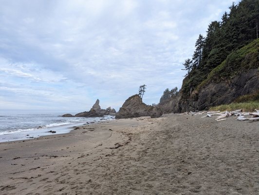 Shi Shi Beach by null