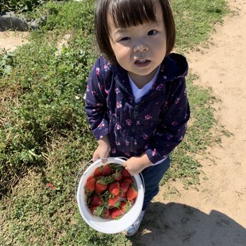 Froberg's Farm - Pick Your Own Farms Near Me - Alvin, Texas Froberg's Farm - Pick Your Own Farms Near Me - Alvin, Texas