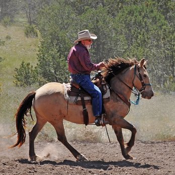 Concho Hills Guest Ranch - Exciting - Horseback Riding Near Me - Magdalena, New Mexico Concho Hills Guest Ranch - Exciting - Horseback Riding Near Me - Magdalena, New Mexico