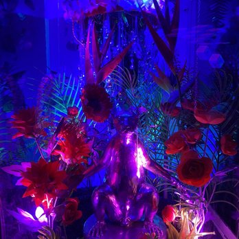 Meow Wolf - Venues & Event Spaces Near Me - Denver, Colorado