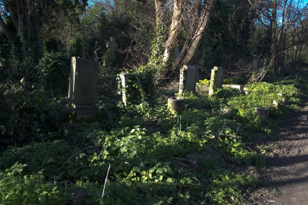 Nunhead Cemetery by null