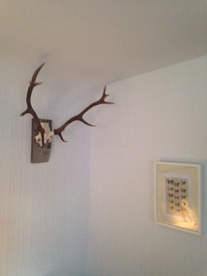 Mhor 84 Motel by null