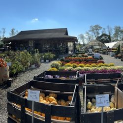 Crow's Nest Greenhouse