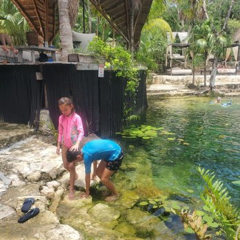 Vesica Tulum - Many easy points of access.. no jumping in. - Restaurants Near Me - Quintana Roo, ROO
