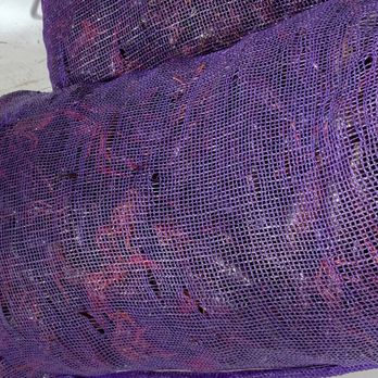 Crawfish Nick Seafood - a close up of a purple fish net - Seafood Markets Near Me - Spring, Texas