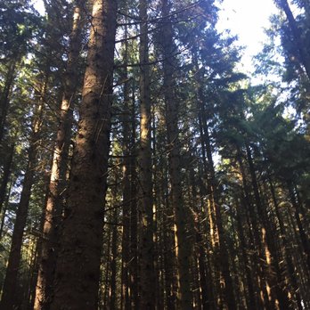 Tollymore Forest Park - Parks Near Me - Newcastle, DOW Tollymore Forest Park - Parks Near Me - Newcastle, DOW