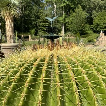 Sarah P Duke Gardens - Botanical Gardens Near Me - Durham, North Carolina Sarah P Duke Gardens - Botanical Gardens Near Me - Durham, North Carolina