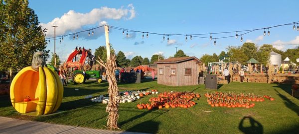 Goebbert's Farm Pingree Grove by null