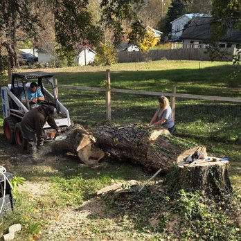 Mullins Tree Service - Tree Services Near Me Mullins Tree Service - Tree Services Near Me