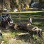 Photo of Mullins Tree Service